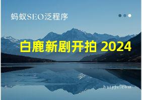 白鹿新剧开拍 2024