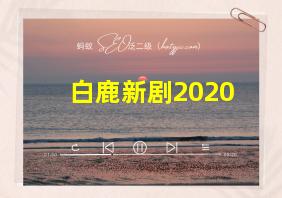 白鹿新剧2020