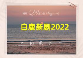 白鹿新剧2022