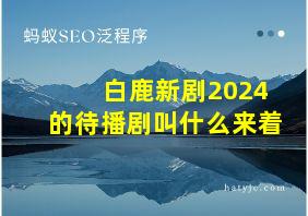 白鹿新剧2024的待播剧叫什么来着