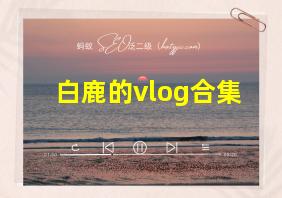 白鹿的vlog合集