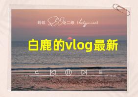 白鹿的vlog最新