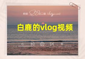 白鹿的vlog视频