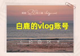 白鹿的vlog账号