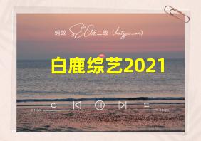 白鹿综艺2021