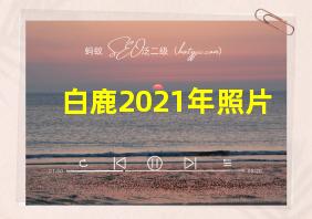 白鹿2021年照片