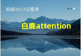 白鹿attention