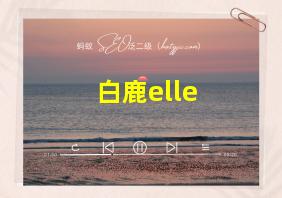 白鹿elle