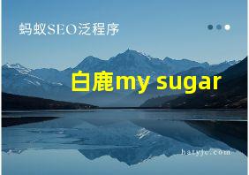 白鹿my sugar