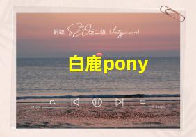 白鹿pony