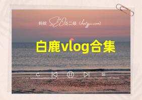 白鹿vlog合集