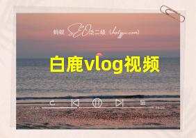 白鹿vlog视频