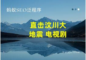 直击汶川大地震 电视剧