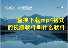 直接下载mp4格式的视频软件叫什么软件