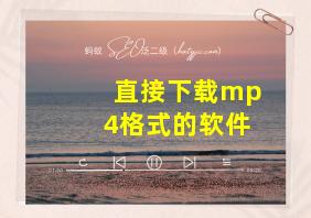 直接下载mp4格式的软件