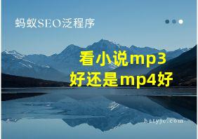 看小说mp3好还是mp4好