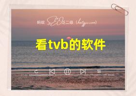 看tvb的软件