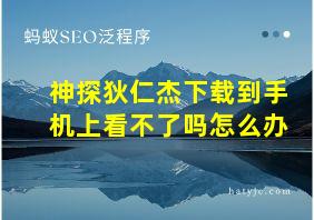 神探狄仁杰下载到手机上看不了吗怎么办