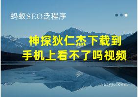 神探狄仁杰下载到手机上看不了吗视频