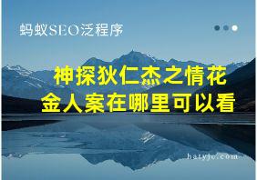 神探狄仁杰之情花金人案在哪里可以看