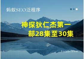 神探狄仁杰第一部28集至30集