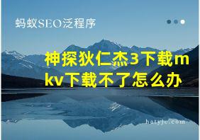 神探狄仁杰3下载mkv下载不了怎么办