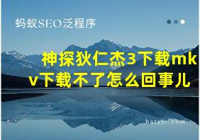 神探狄仁杰3下载mkv下载不了怎么回事儿