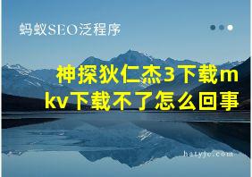 神探狄仁杰3下载mkv下载不了怎么回事