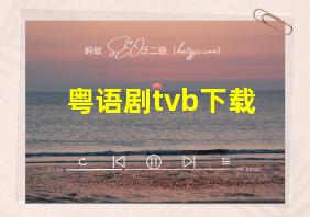 粤语剧tvb下载