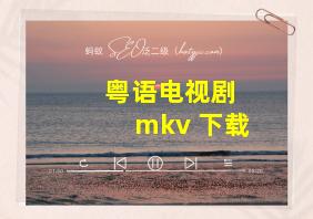 粤语电视剧 mkv 下载