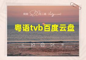 粤语tvb百度云盘