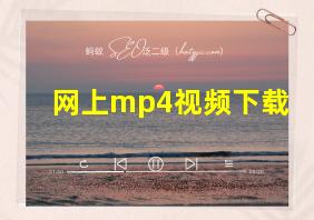 网上mp4视频下载