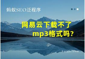 网易云下载不了mp3格式吗?