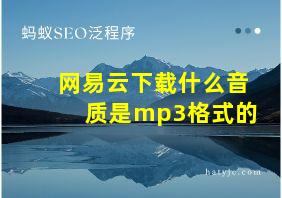 网易云下载什么音质是mp3格式的