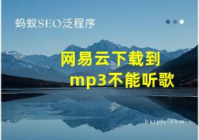 网易云下载到mp3不能听歌