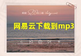 网易云下载到mp3