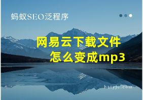 网易云下载文件怎么变成mp3