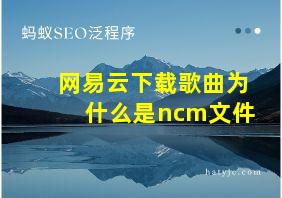 网易云下载歌曲为什么是ncm文件