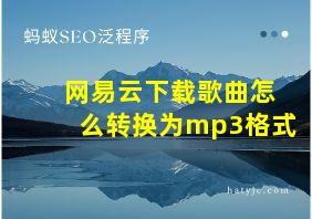 网易云下载歌曲怎么转换为mp3格式