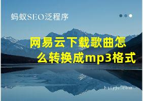 网易云下载歌曲怎么转换成mp3格式