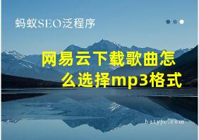 网易云下载歌曲怎么选择mp3格式