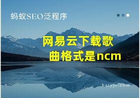 网易云下载歌曲格式是ncm