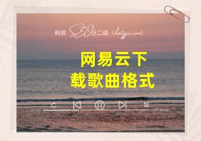 网易云下载歌曲格式