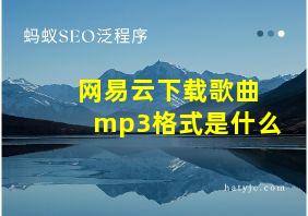 网易云下载歌曲mp3格式是什么