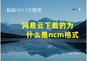 网易云下载的为什么是ncm格式