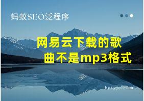 网易云下载的歌曲不是mp3格式