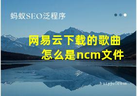 网易云下载的歌曲怎么是ncm文件