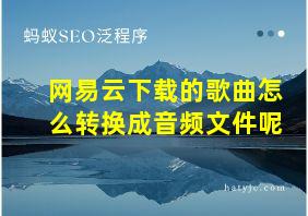 网易云下载的歌曲怎么转换成音频文件呢