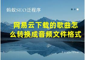 网易云下载的歌曲怎么转换成音频文件格式