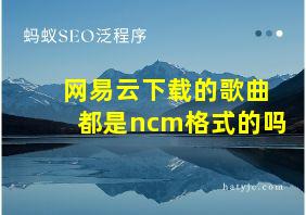 网易云下载的歌曲都是ncm格式的吗